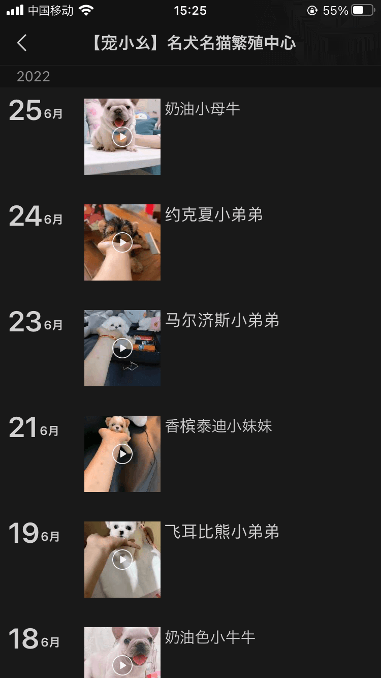 中国のペットブームで猫舎が急増