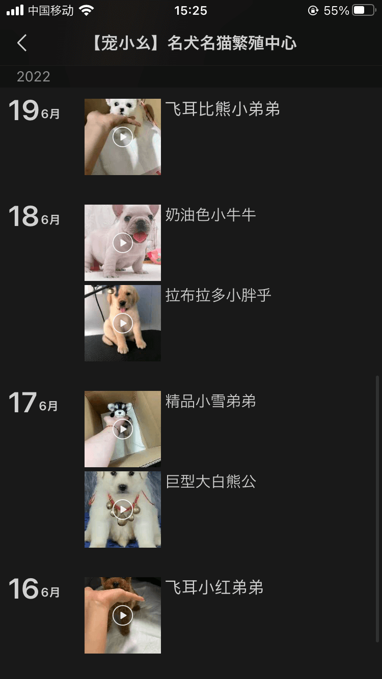 中国のペットブームで猫舎が急増