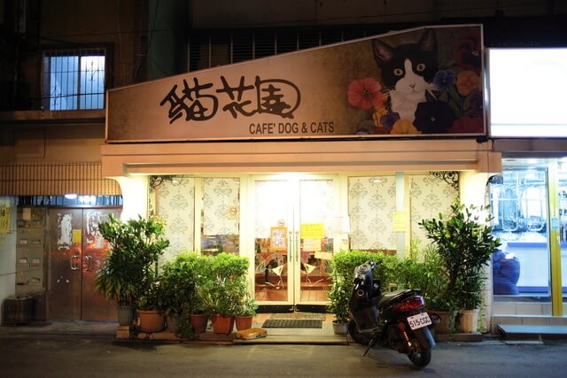 台湾で最初にできた猫カフェ