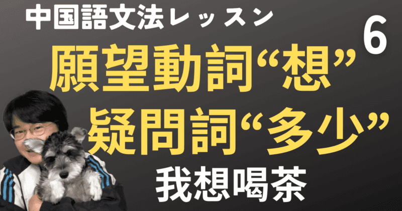 「願望動詞“想”」「疑問詞“多少”」「数詞“个”」の使い方【中国語文法】