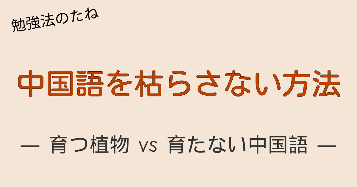 100均パキラと中国語学習の共通点
